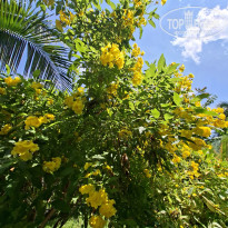 фото из отзыва ID 2718738