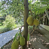 фото из отзыва ID 2718738