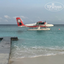 фото из отзыва ID 2718803