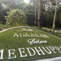 фото из отзыва ID 2718803