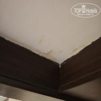 фото из отзыва ID 2718971