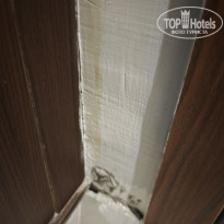 фото из отзыва ID 2718971