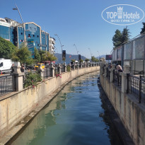 фото из отзыва ID 2718985