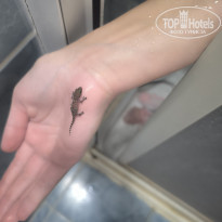 фото из отзыва ID 2718985