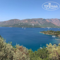 фото из отзыва ID 2718985