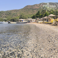 фото из отзыва ID 2718985