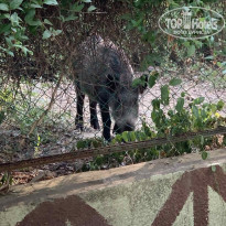 фото из отзыва ID 2718985