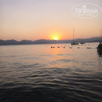 фото из отзыва ID 2718985