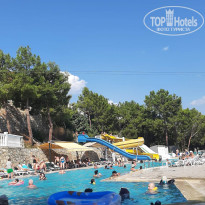 фото из отзыва ID 2719039