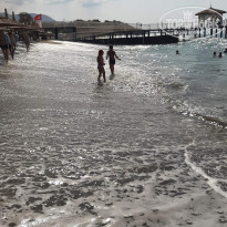 фото из отзыва ID 2719039