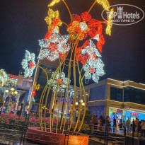 фото из отзыва ID 2719199