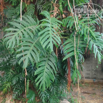 фото из отзыва ID 2719263