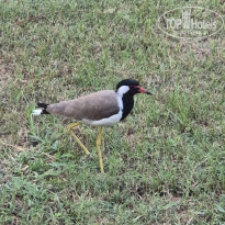 фото из отзыва ID 2719300