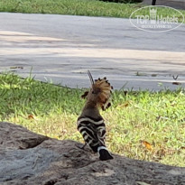 фото из отзыва ID 2719300