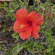 фото из отзыва ID 2719300