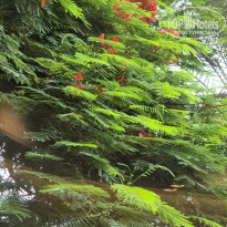 фото из отзыва ID 2719300