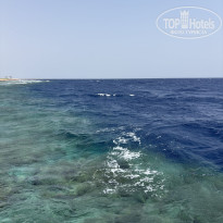 фото из отзыва ID 2719307