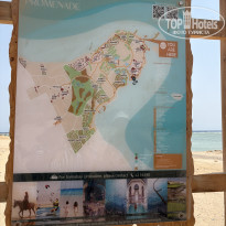 фото из отзыва ID 2719307