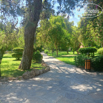 фото из отзыва ID 2719310