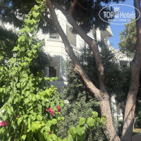 фото из отзыва ID 2719326