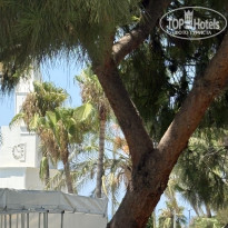 фото из отзыва ID 2719326