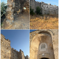 фото из отзыва ID 2719326