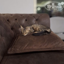 фото из отзыва ID 2719326