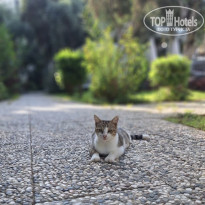 фото из отзыва ID 2719326