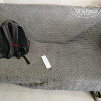 фото из отзыва ID 2719360