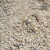 фото из отзыва ID 2719360