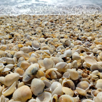 фото из отзыва ID 2719360