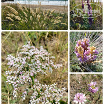 фото из отзыва ID 2719360