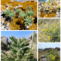 фото из отзыва ID 2719360