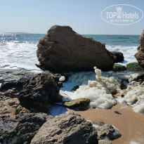 фото из отзыва ID 2719360