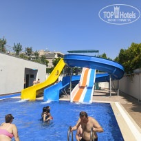 фото из отзыва ID 2719473