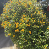 фото из отзыва ID 2719460