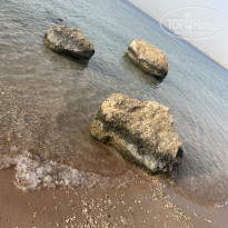фото из отзыва ID 2719514