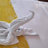 фото из отзыва ID 2719603