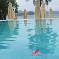 фото из отзыва ID 2719616