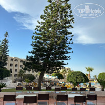 фото из отзыва ID 2719659