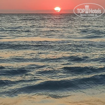 фото из отзыва ID 2719659