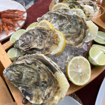 фото из отзыва ID 2719704