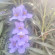 фото из отзыва ID 2719747