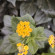 фото из отзыва ID 2719747