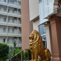 фото из отзыва ID 2719831