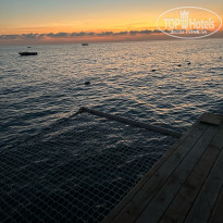 фото из отзыва ID 2719860