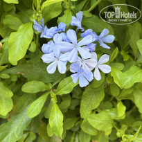 фото из отзыва ID 2719656
