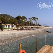 фото из отзыва ID 2715803