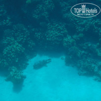 фото из отзыва ID 2717048