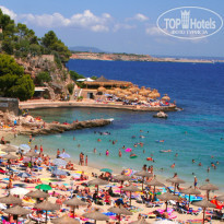 фото из отзыва ID 27262